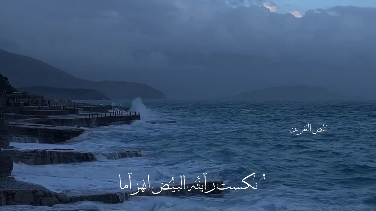 @نَبض العَرين 🔻