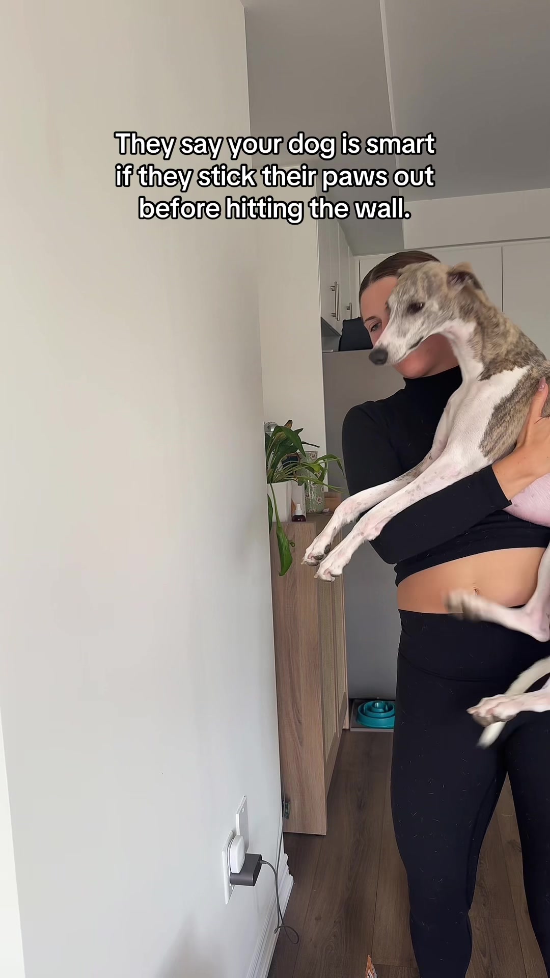 @Kayce Dog🤪🩷