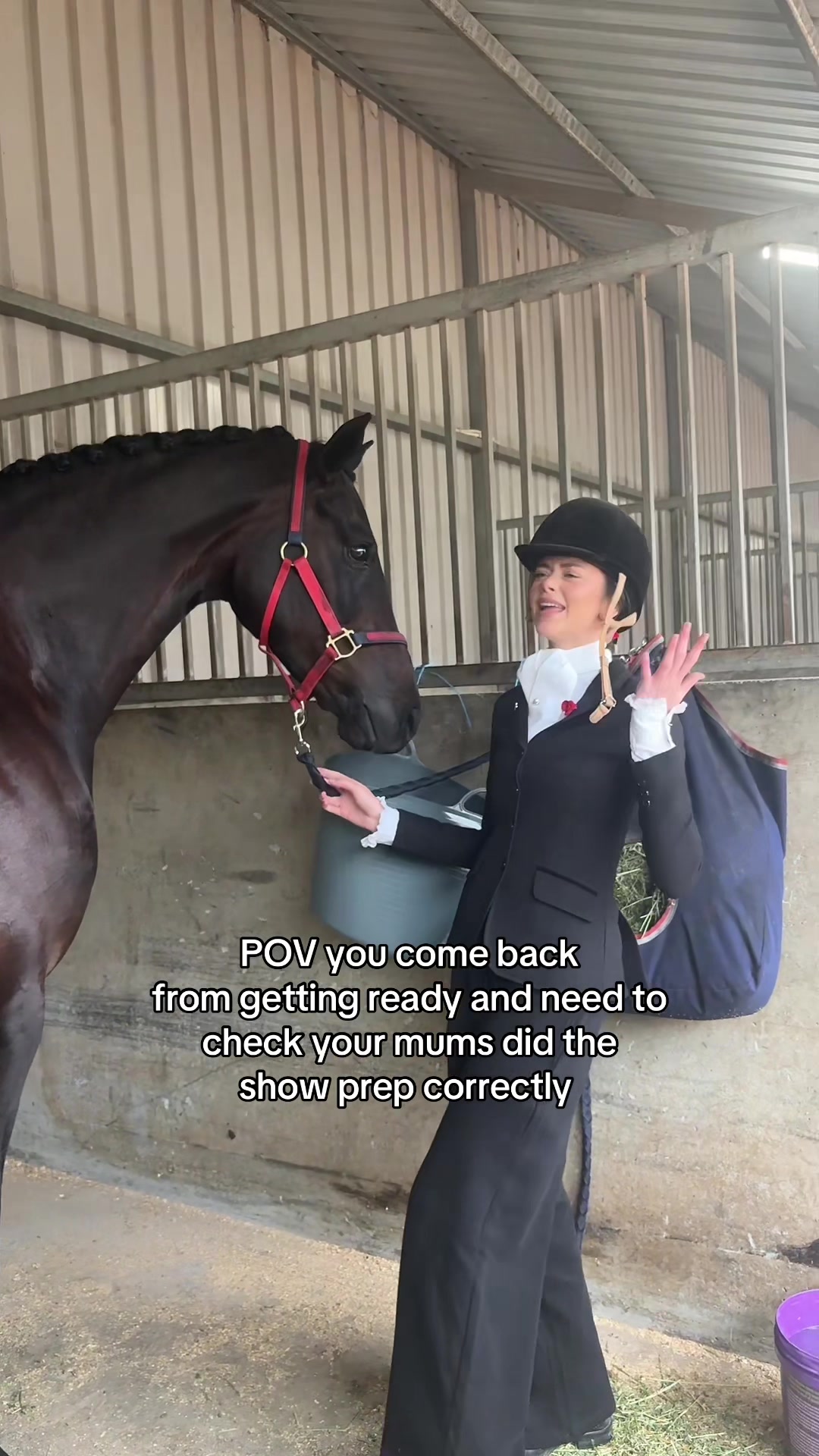 @Ash-Diaz show horses