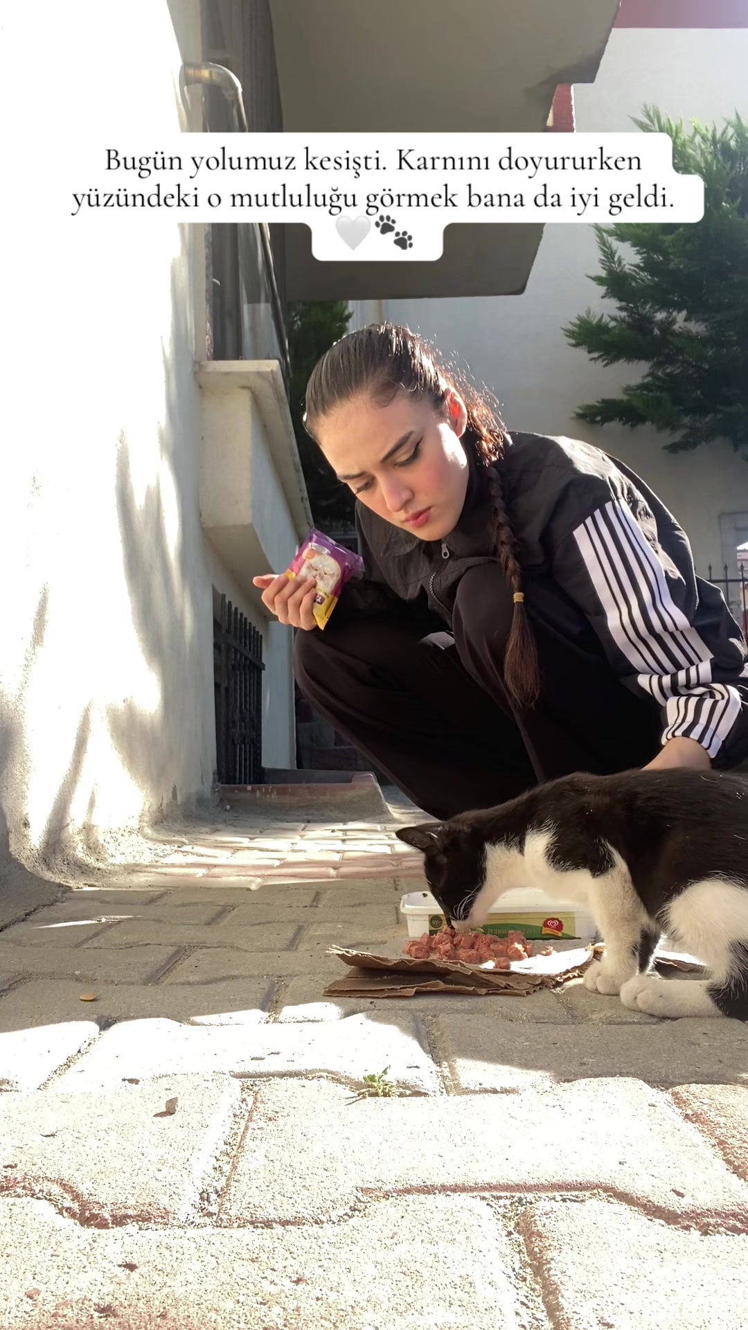 @Ayşenur Parlak