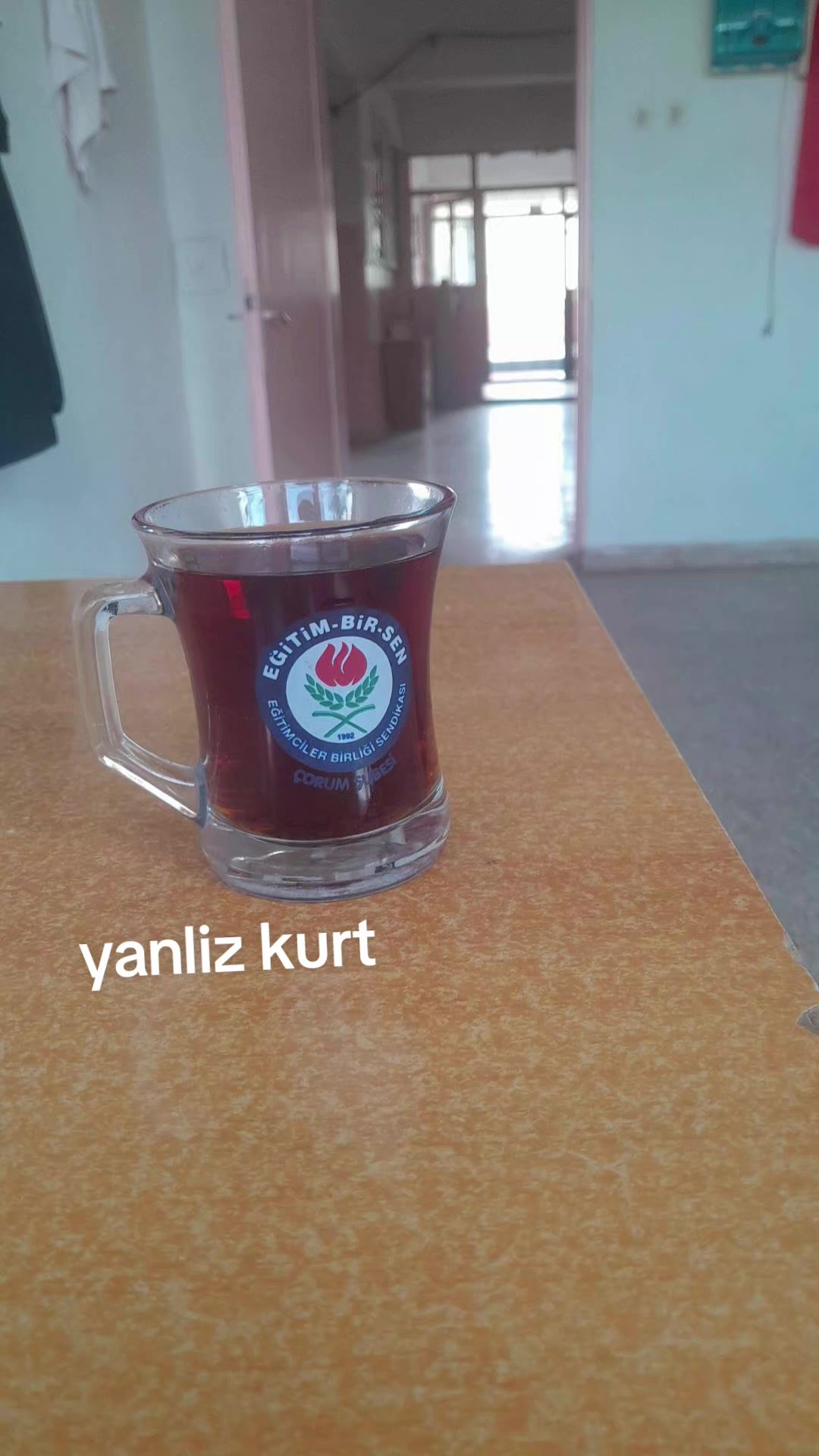 @Havvabilgin