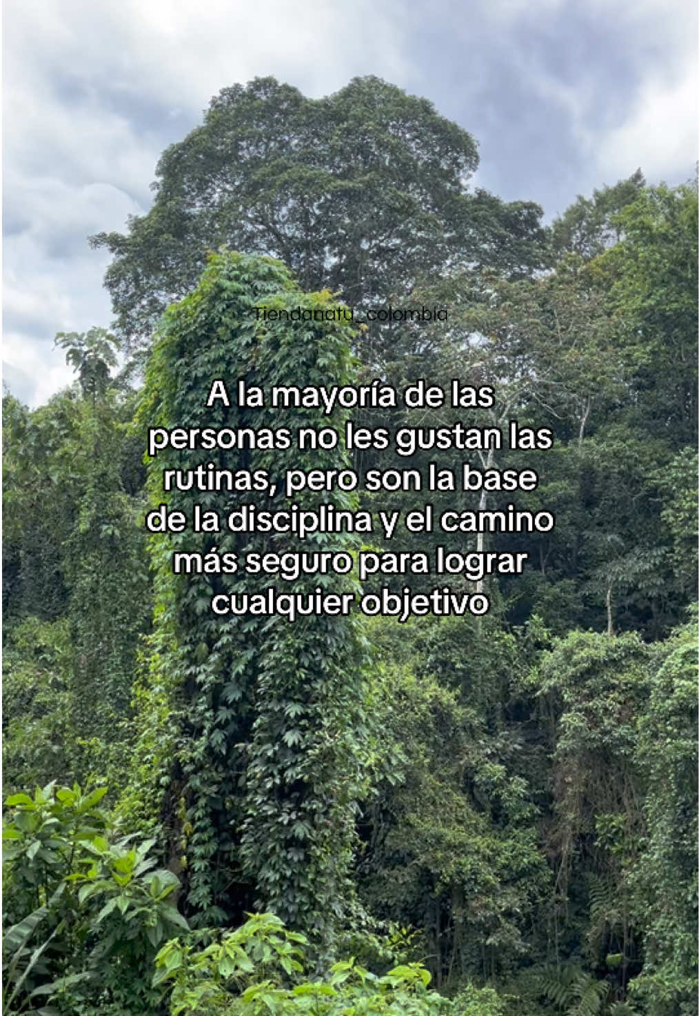 @tiendanatu_colombia