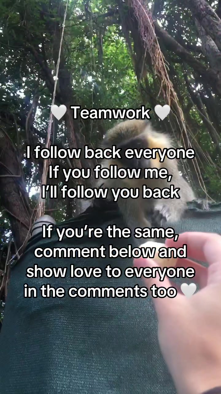 @ktjwashere