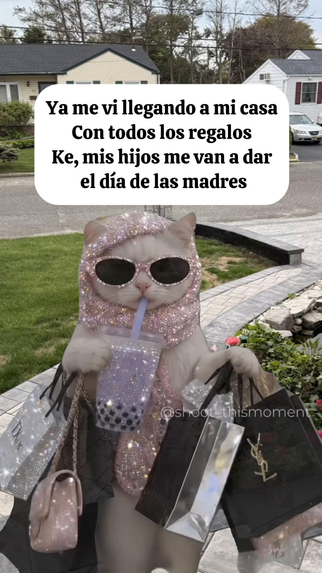 @Lorena🐠💎🩵🐢