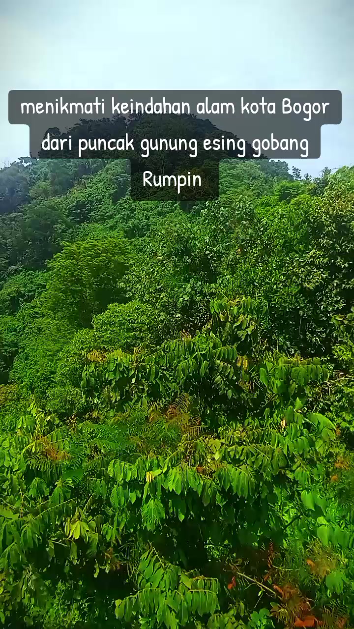 @Tatang Wijaya