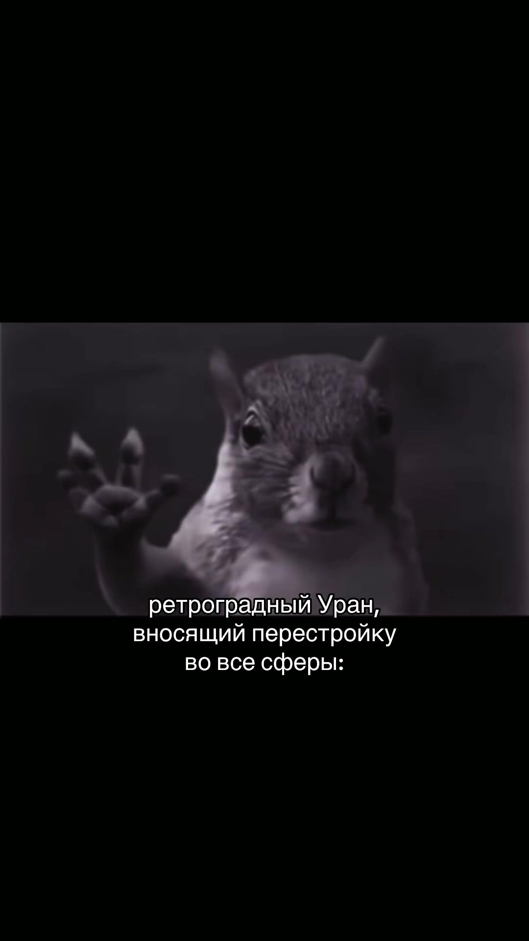 @zlakikozinaka
