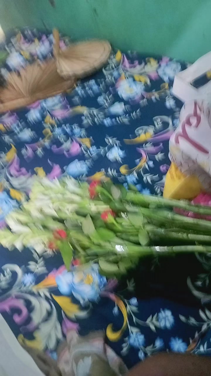 @jesmin nahar