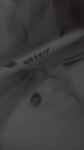 @halooosh