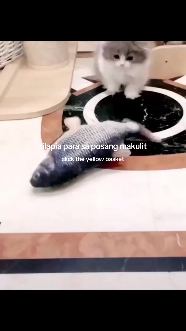 @arecelle