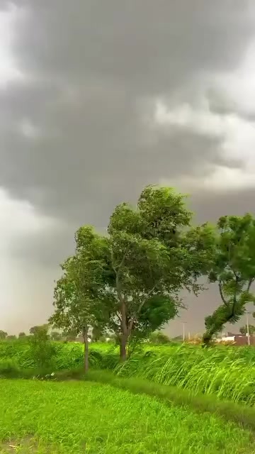 @Irtaza 267