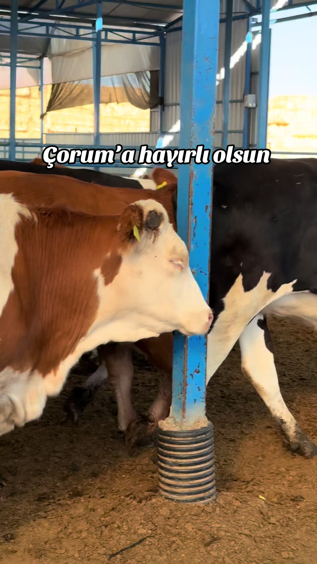 @ERSOYLAR 68
