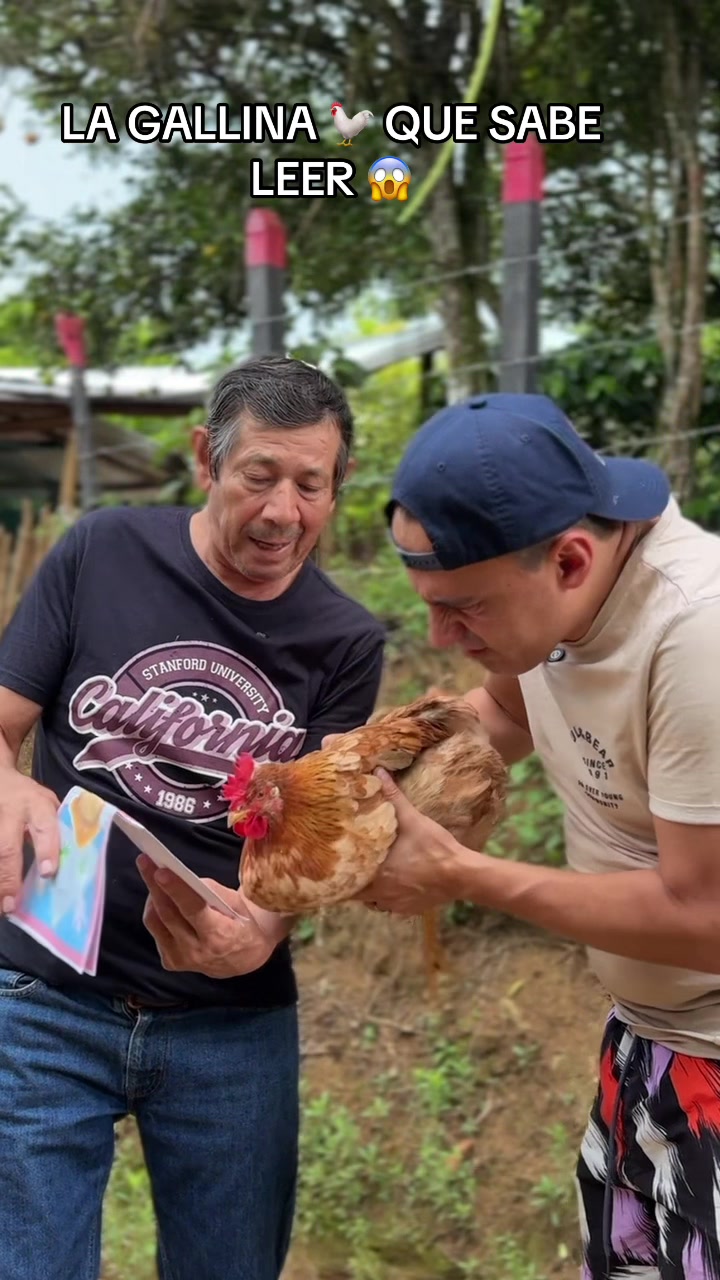 @luchitohumoor