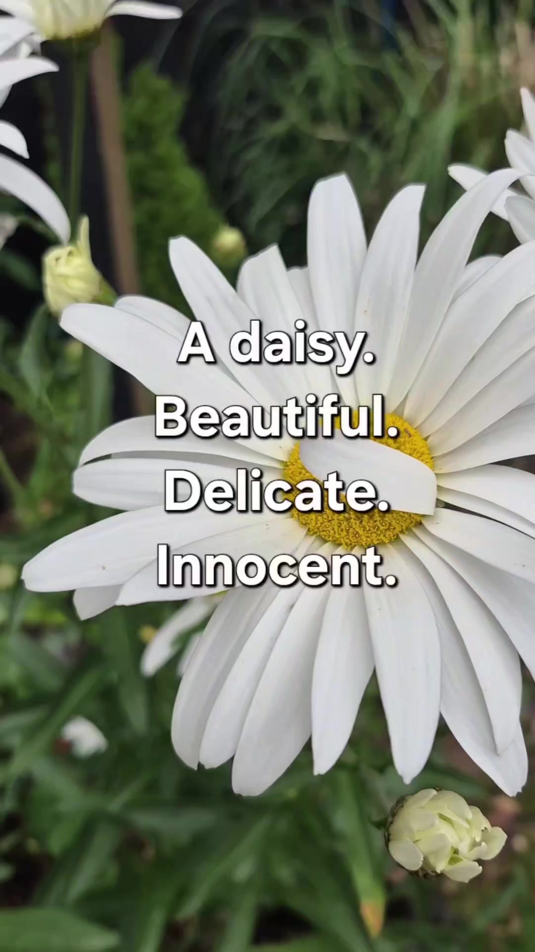 @Author, Brenda Dyer
