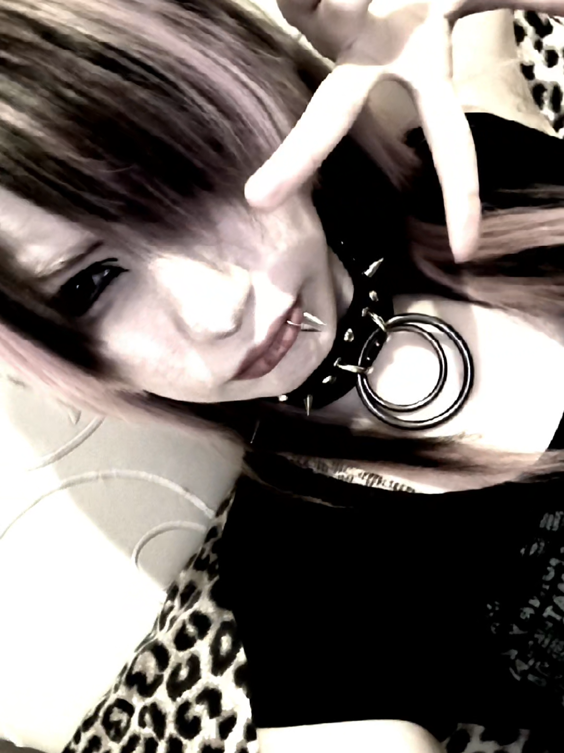 @naki ≽^• ˕ • ྀི≼