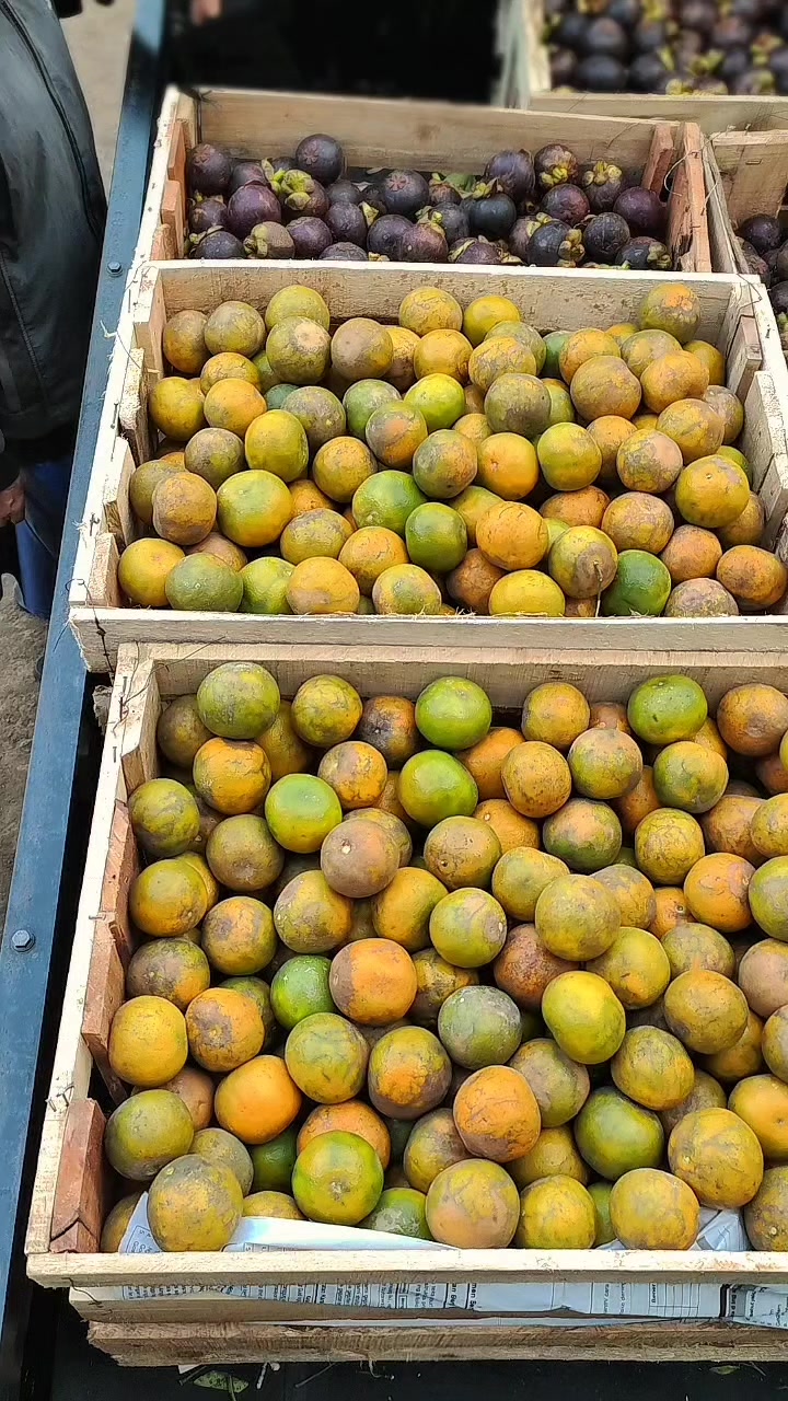 @PUTRA NIAGA BUAH