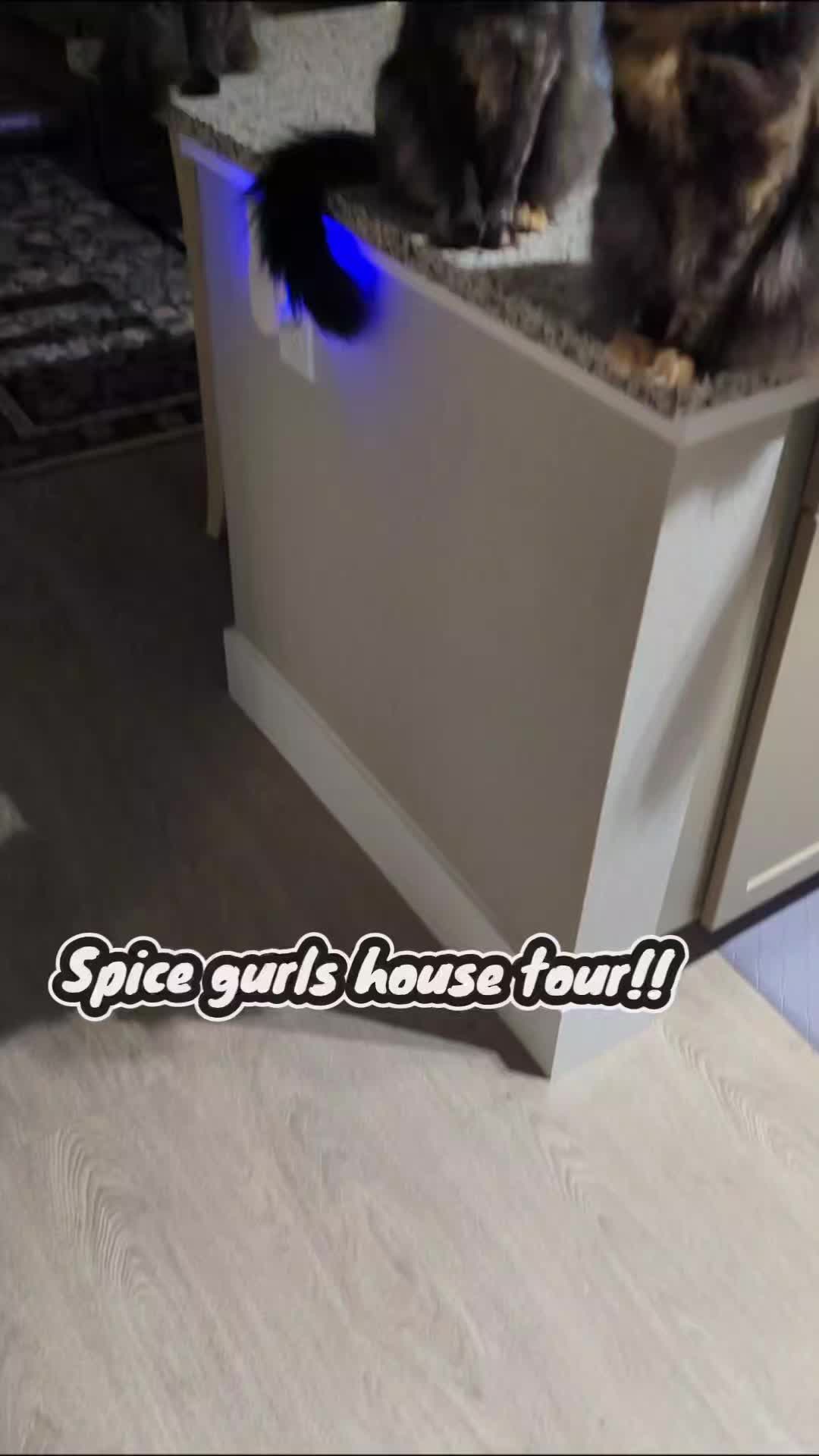 @Spice_Gurls