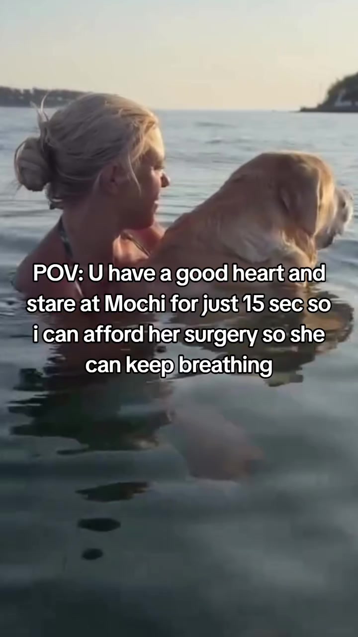 @janedoect01