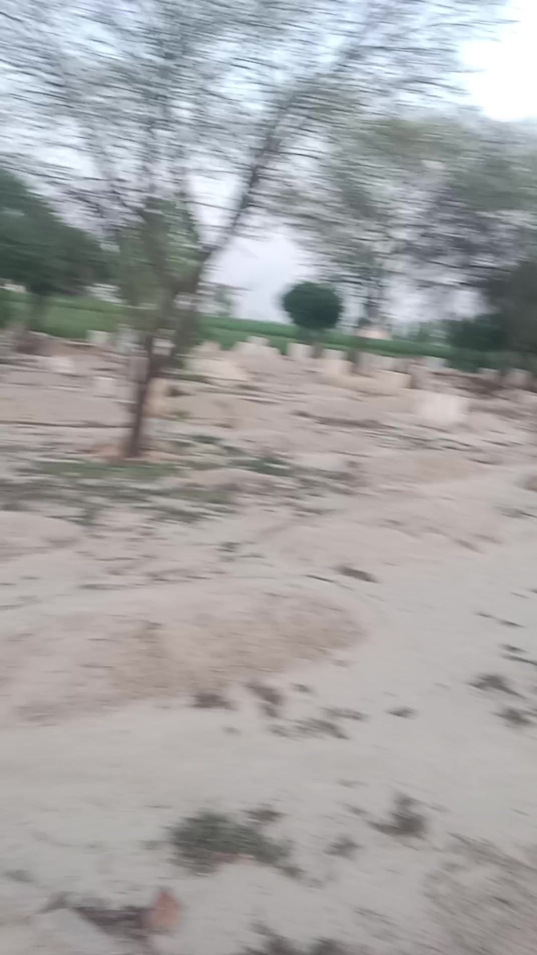 @mani Dogar 7/11