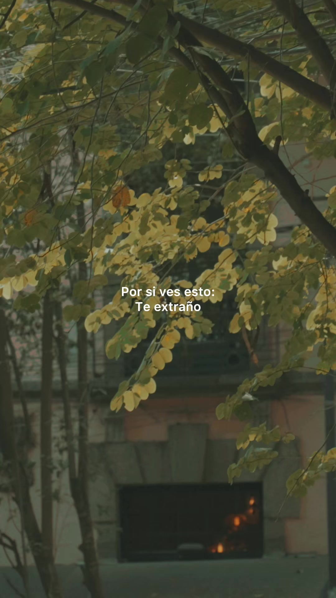 @Andrés Obregón