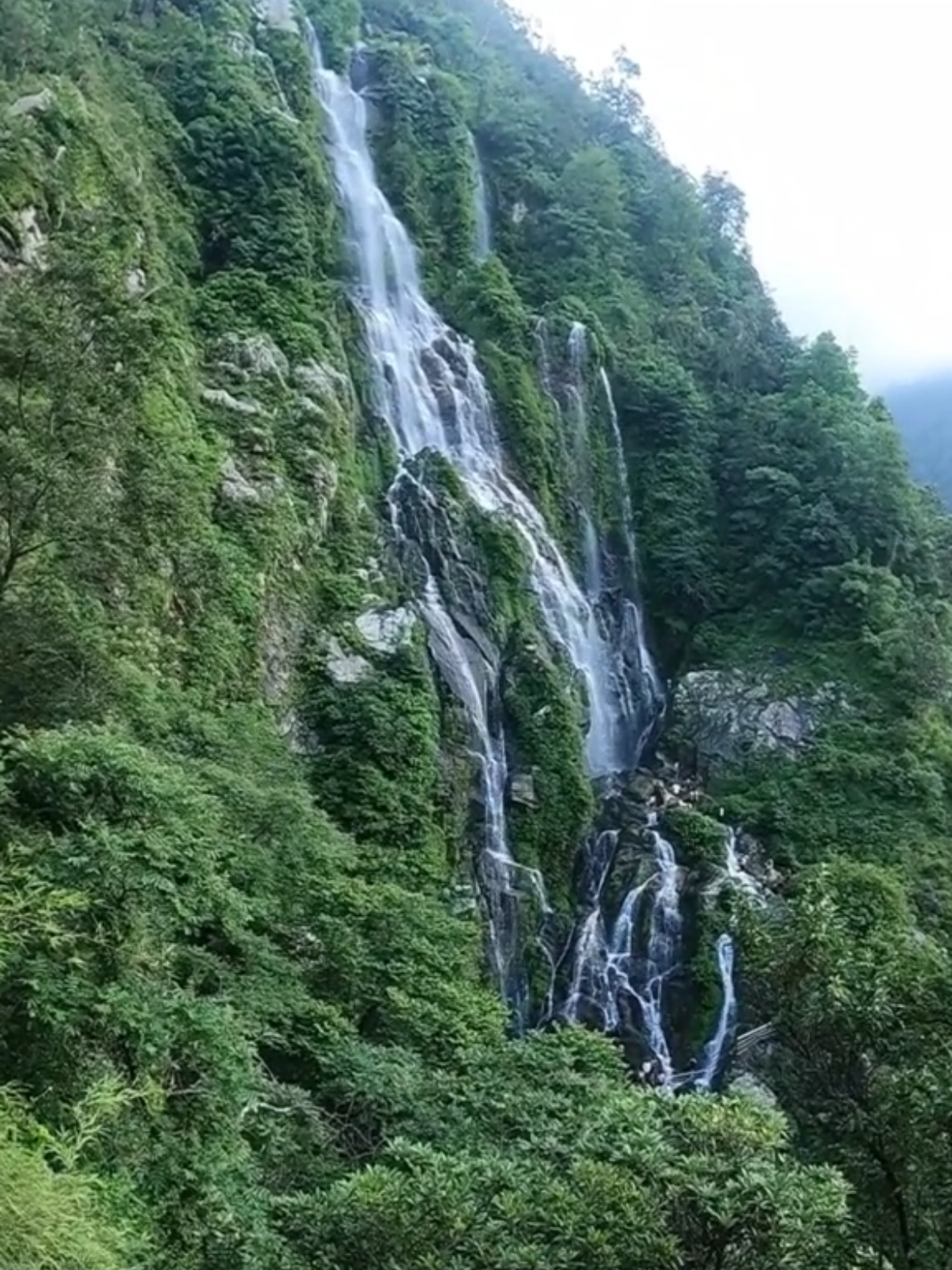 @mrtandukar