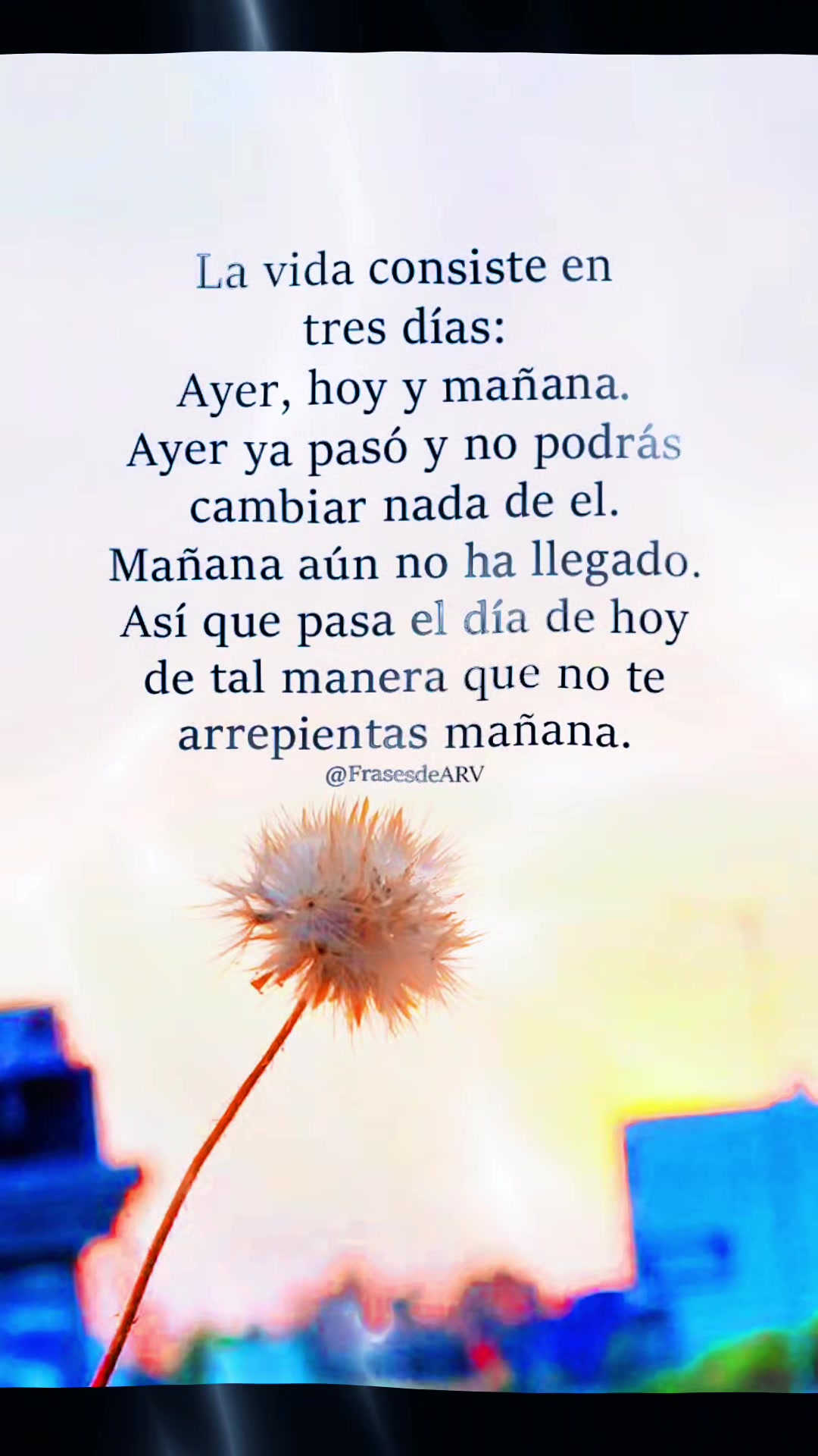 @Zamira Toledo