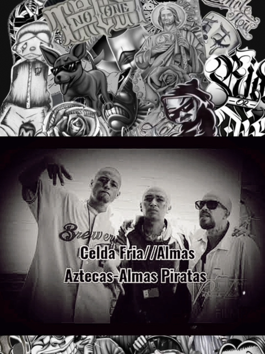 @๐ณ๐๐๐๐ ๐ฐ๐๐๐๐๐ โฉโโญ