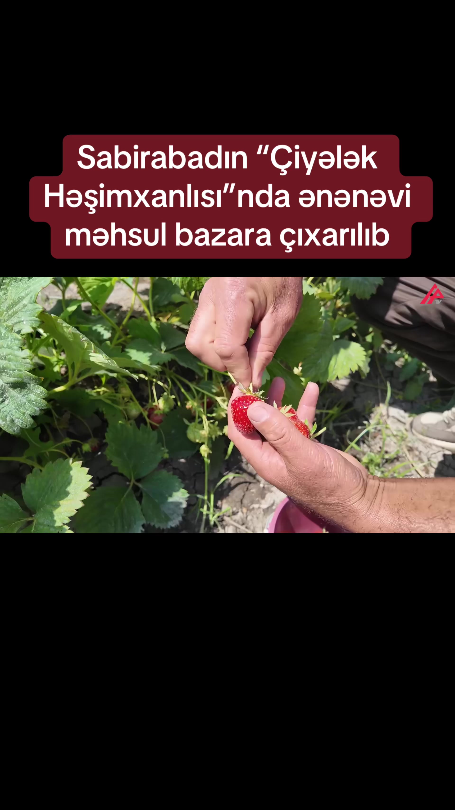 @apatvxeber