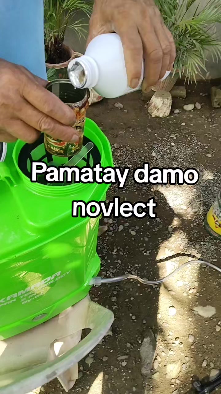 @BOSS MADAM HANNAH