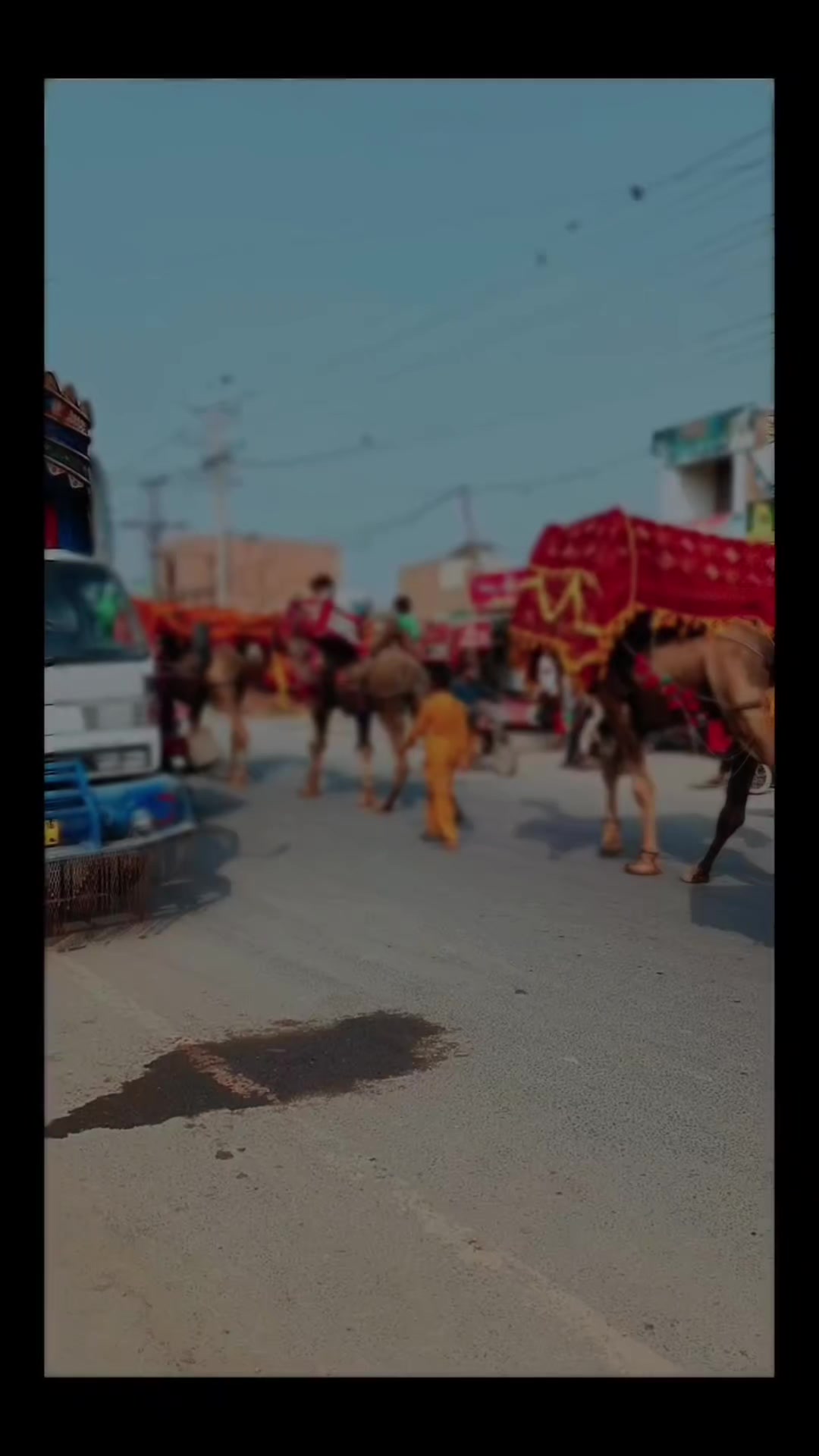 @Shapodin314🦅