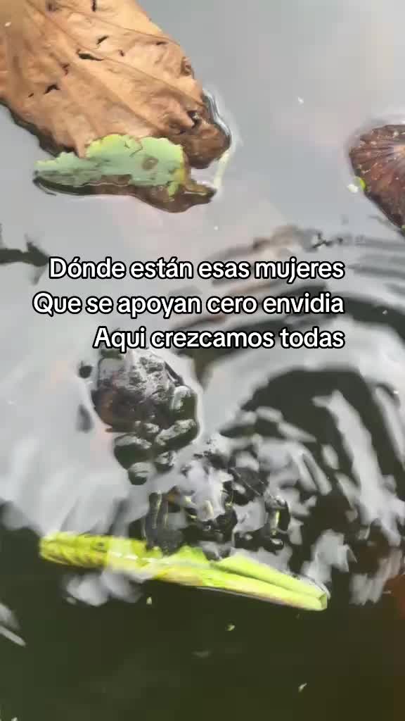 @El l&iacute;mite es el cielo.