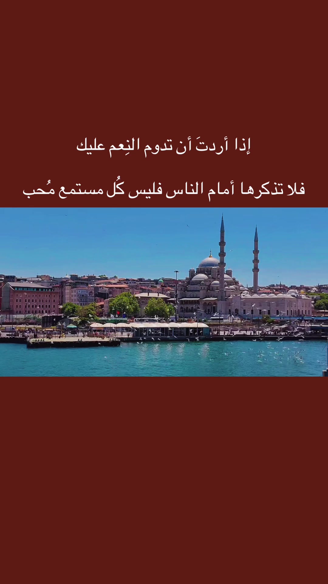 @المجتهد