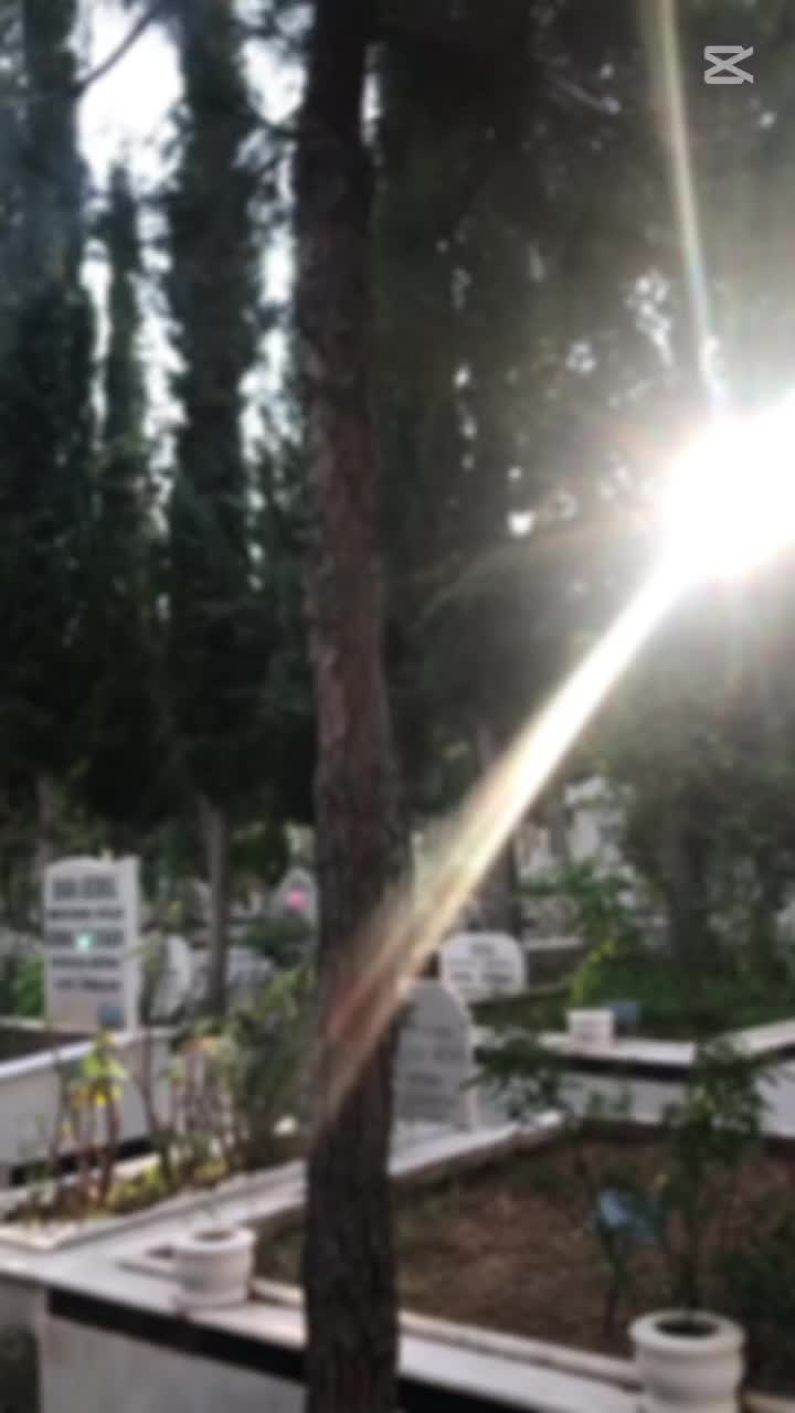 @Eyüp bey๐๐
