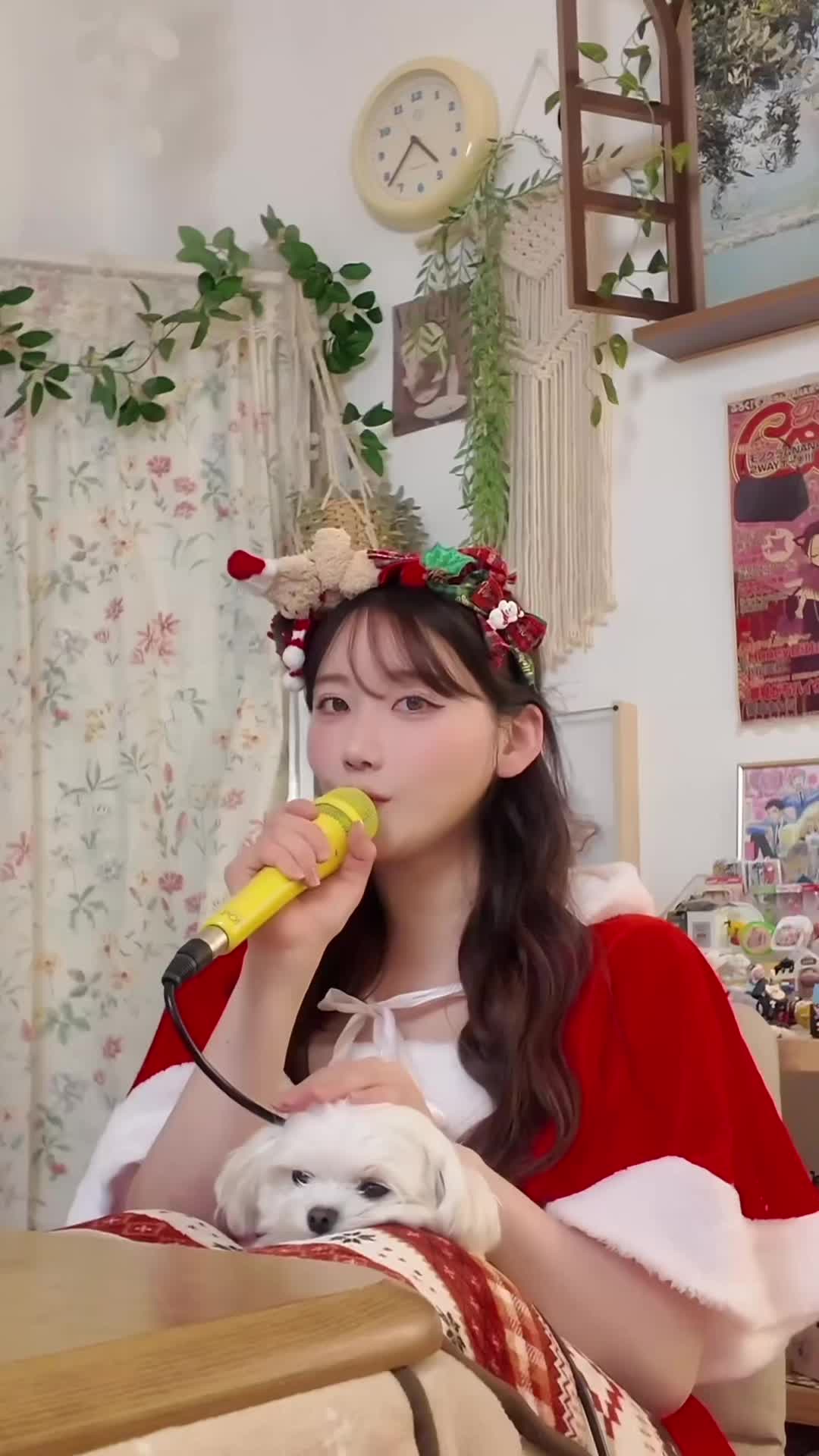 @Ariใใ์๋ฆฌ๐ต๐บ