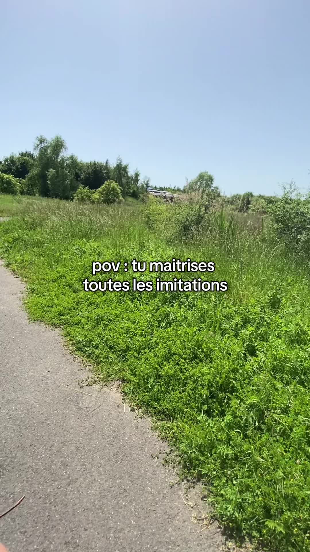 @SMASHEV