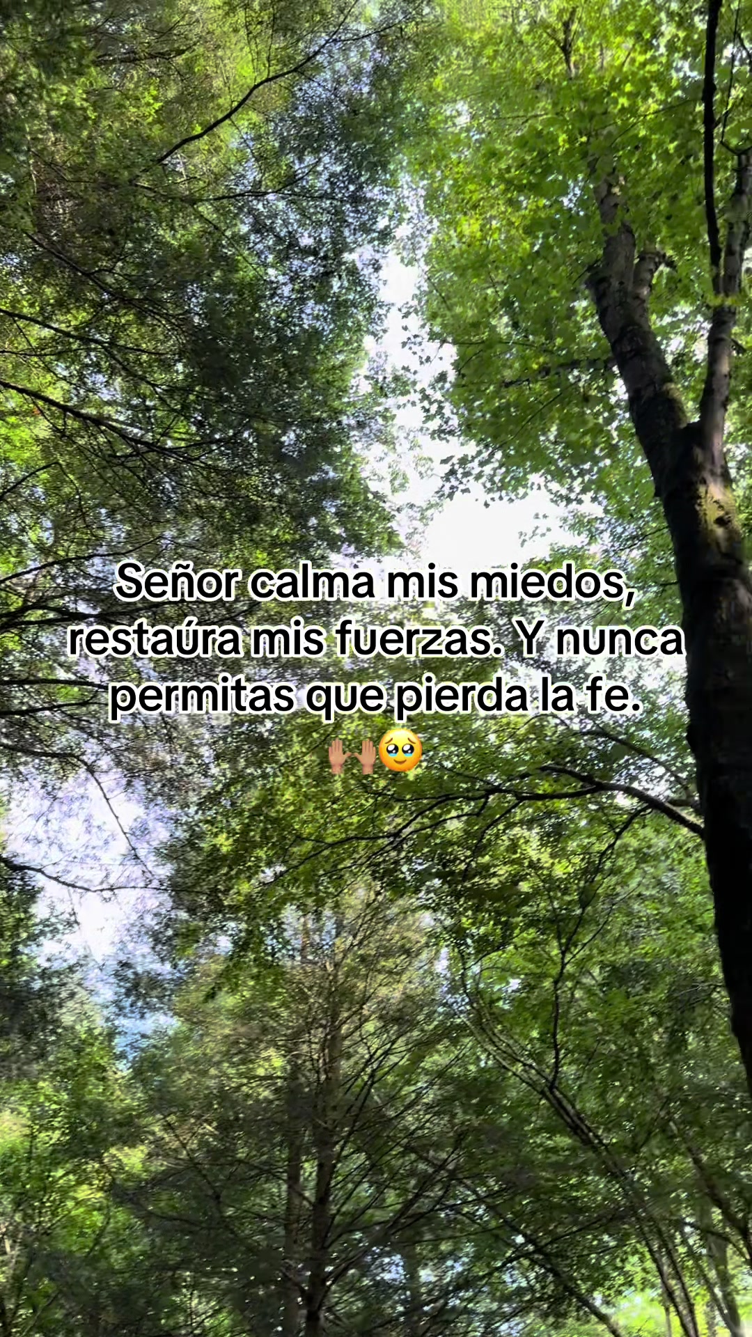 @🤍✨.