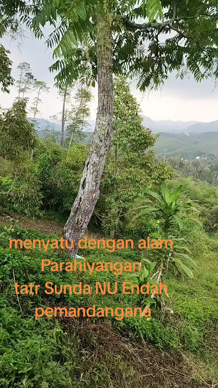 @tokorajamurahku