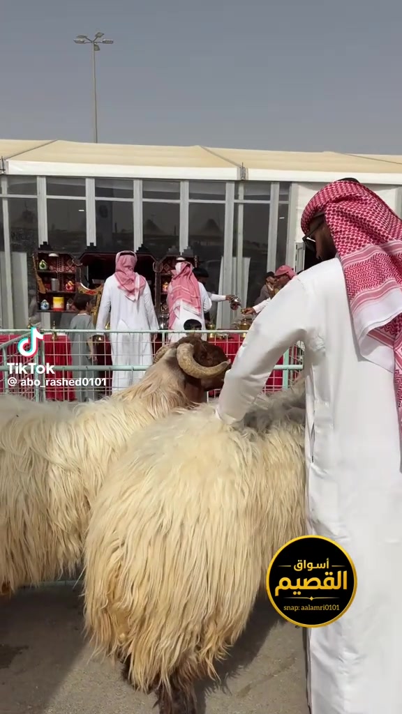 @mohamed_ksa0