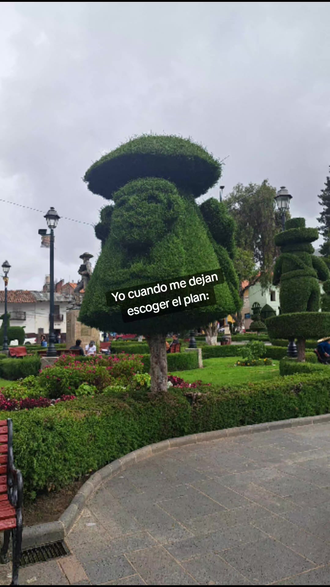 @🌷