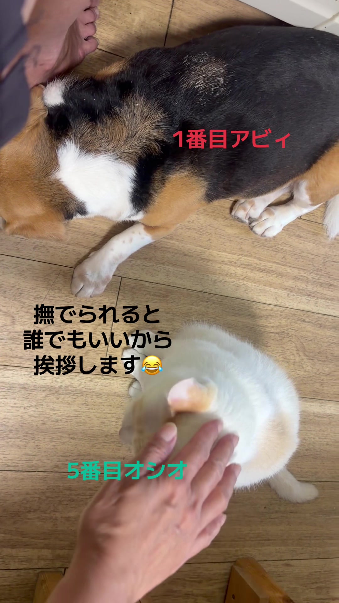 @てるぼー