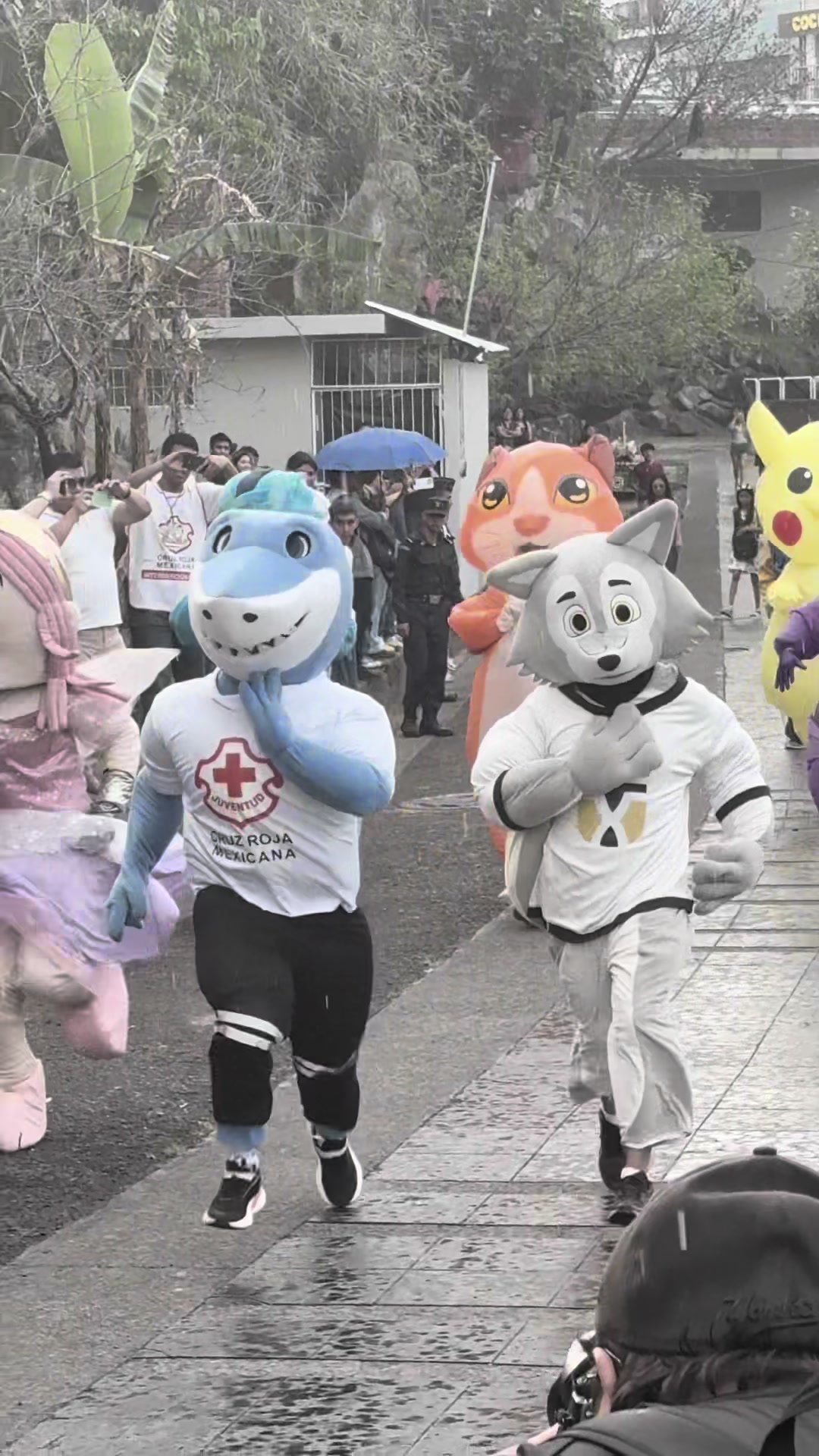 @CIJ Xalapa