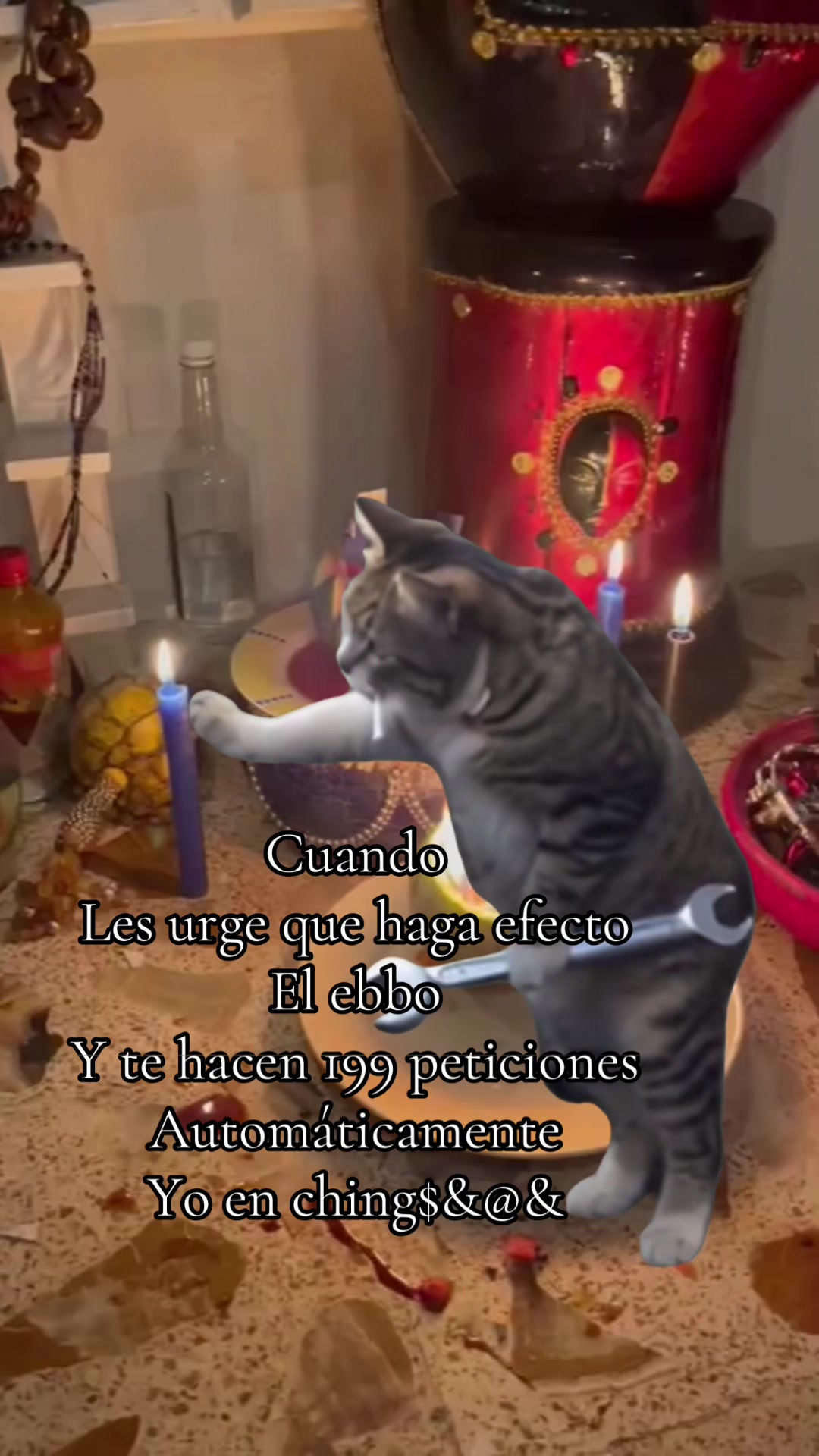 @sandyeleguacita