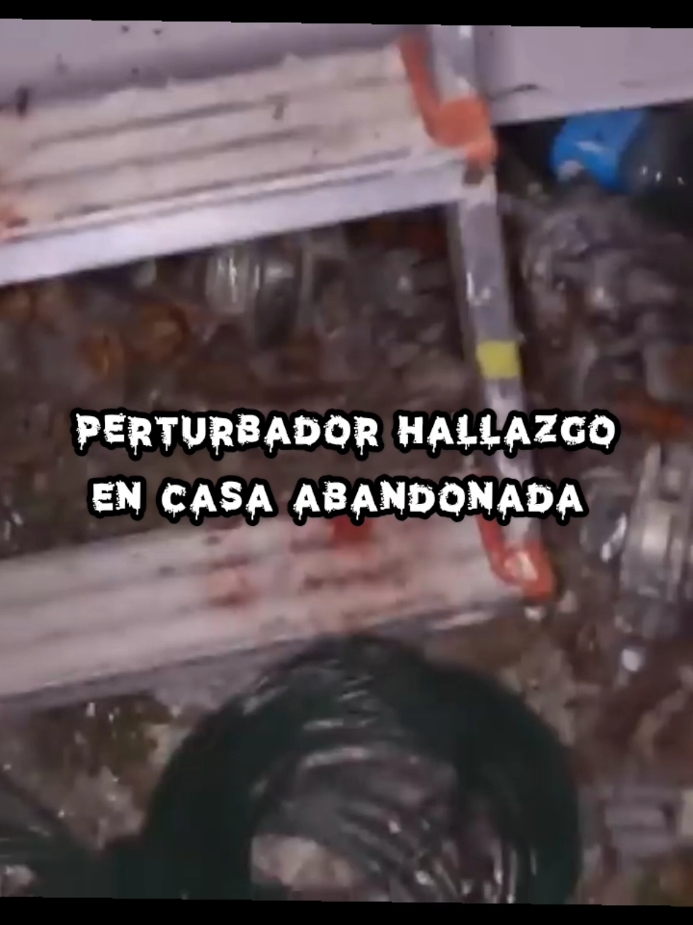 @Miedo a la puerta