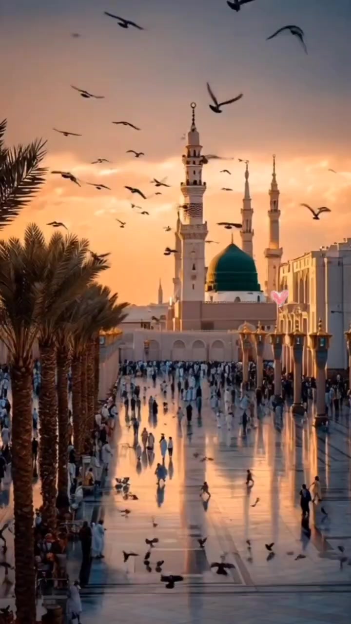@Karimul Islam