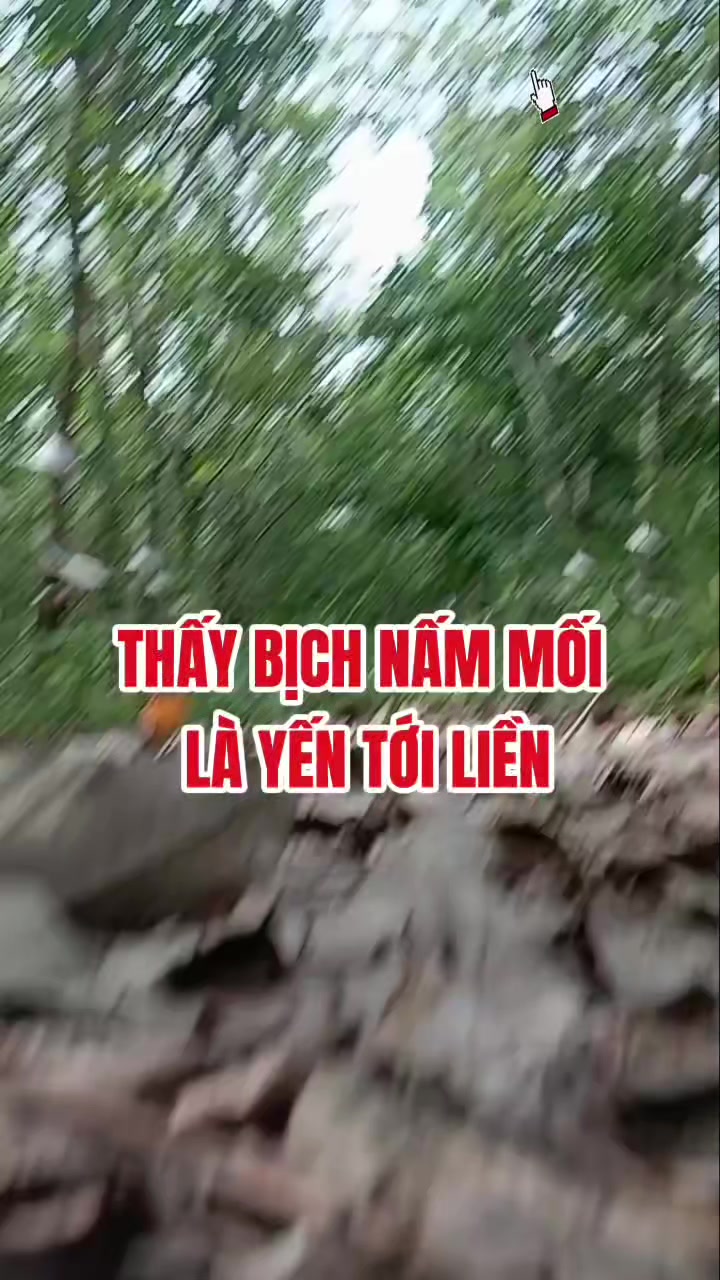 @Tạp hóa Khang Khang