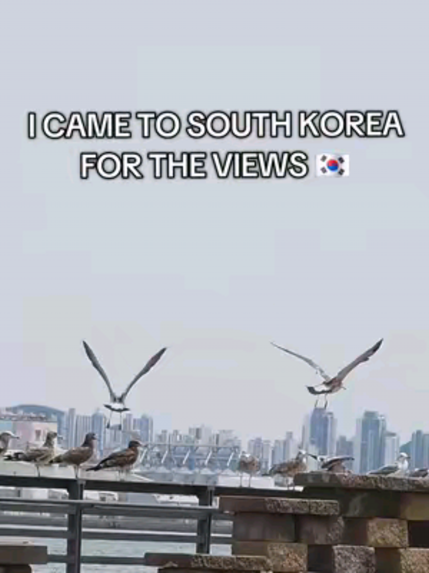 @CHA