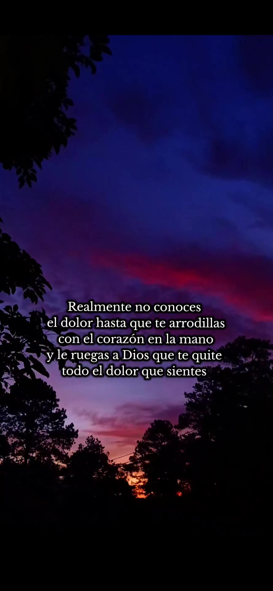 @@enelcielo1 😍🌅🌄