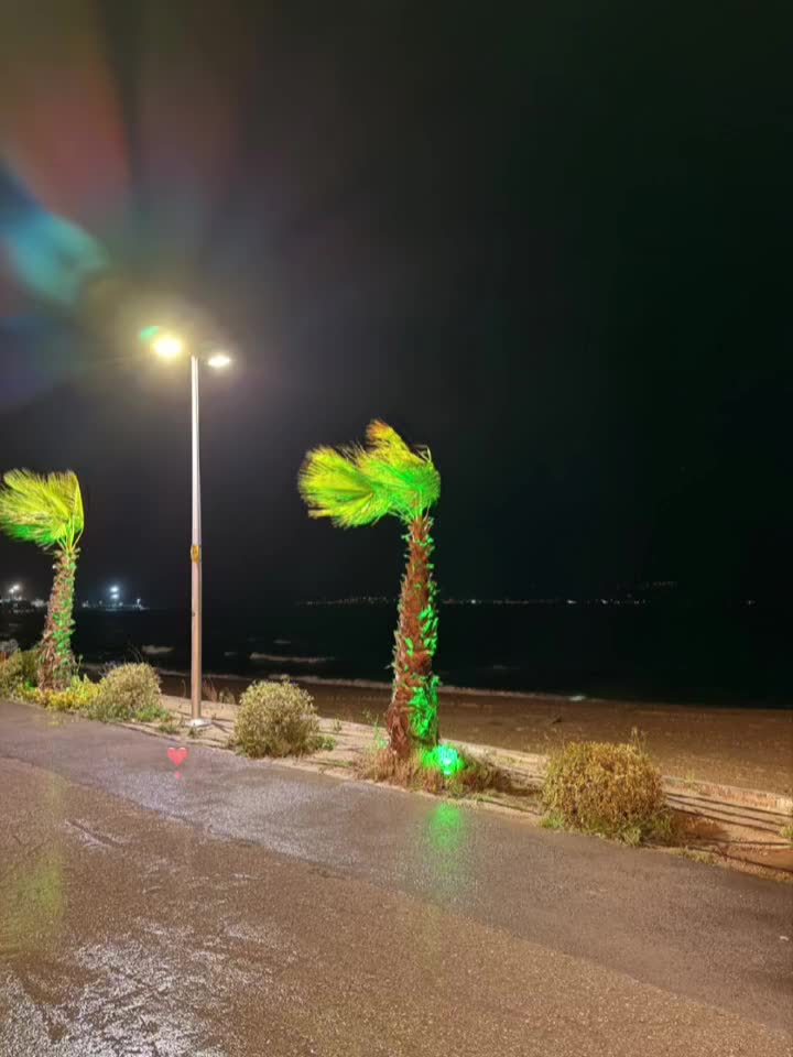 @♯̶الـ حݪۅهههۃة 𝓕🌸