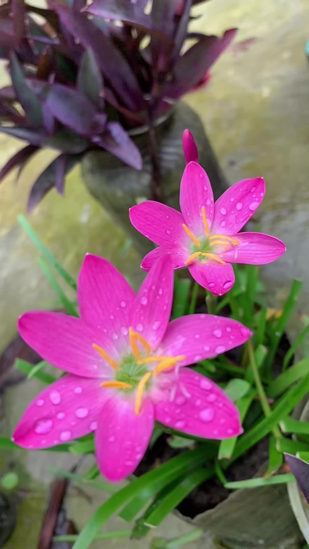 @naima94444