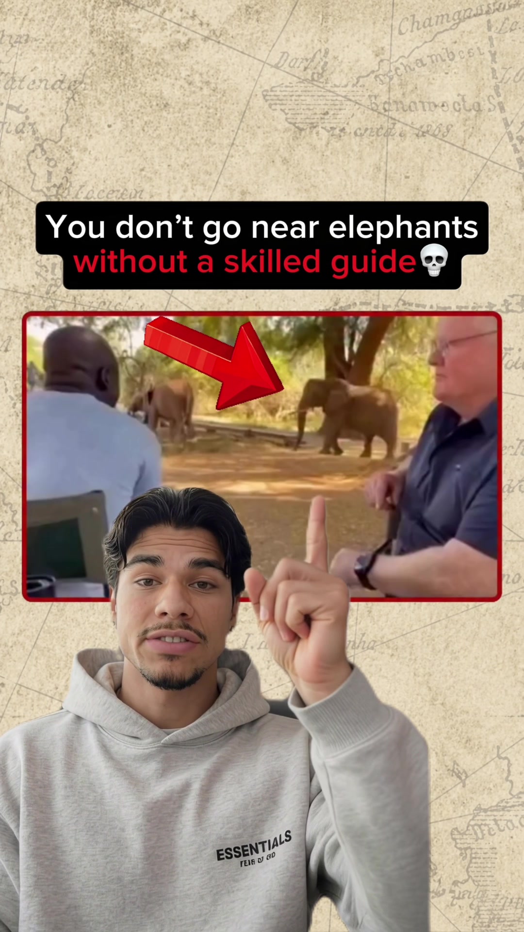 @Animal Code