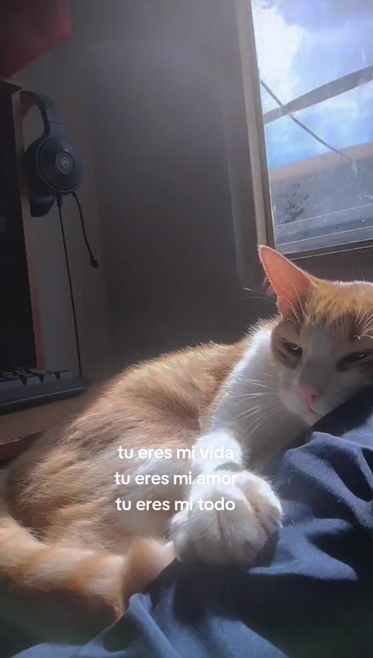 @Sthefy